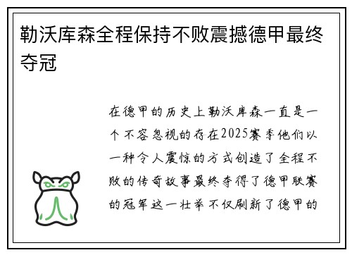 勒沃库森全程保持不败震撼德甲最终夺冠 勒沃库森全程保持不败震撼德甲最终夺冠